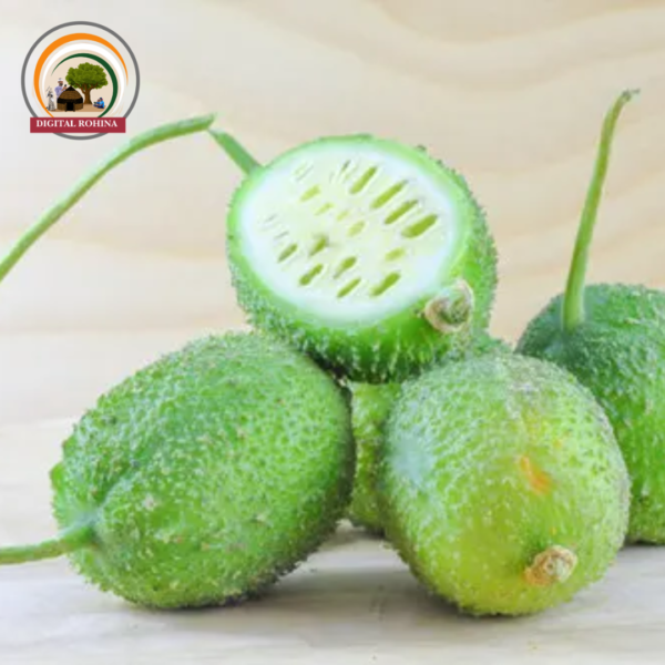 केकड़ा (Cucumis melo var. utilissimus)