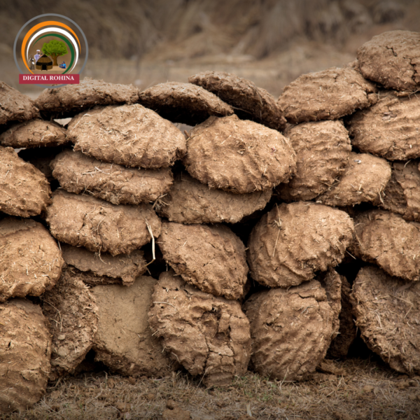 उपला (Cow Dung Cakes) - Image 3