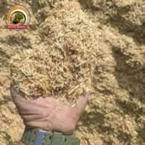 पशु चारा (Animal Fodder)